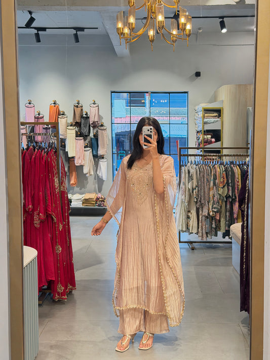 Champagne Peach Embroidered Glass Organza ✨