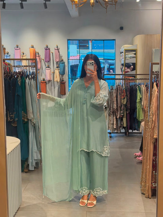 elegant mint green party Wear